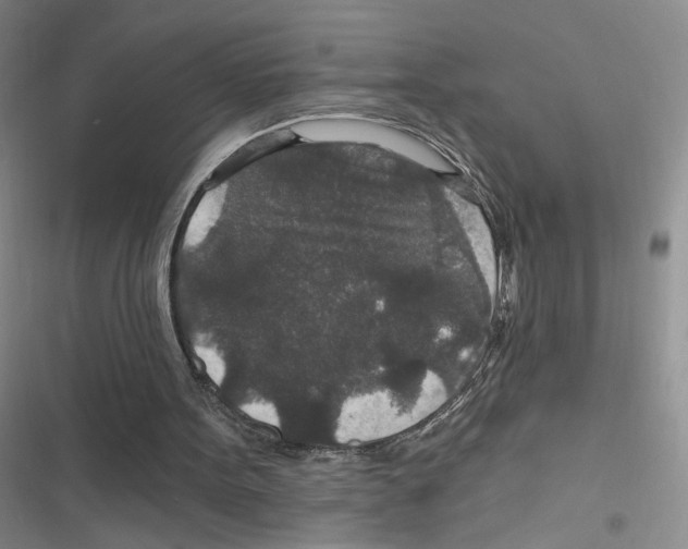 X0000116790099201001151110