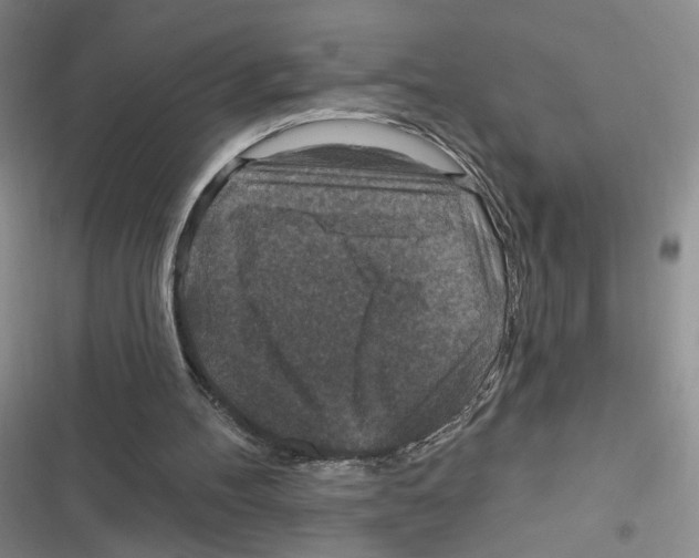 X0000116790100201001151110