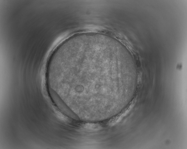 X0000116790101201001151110