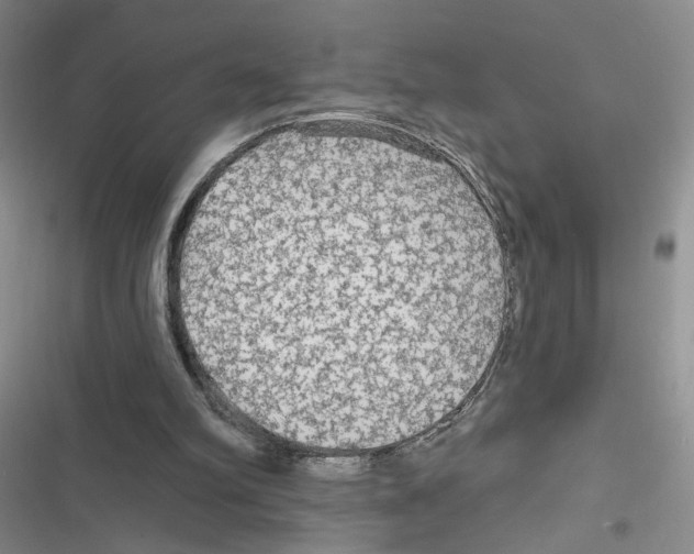 X0000116790102201001151110