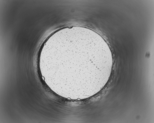 X0000116790103201001151110