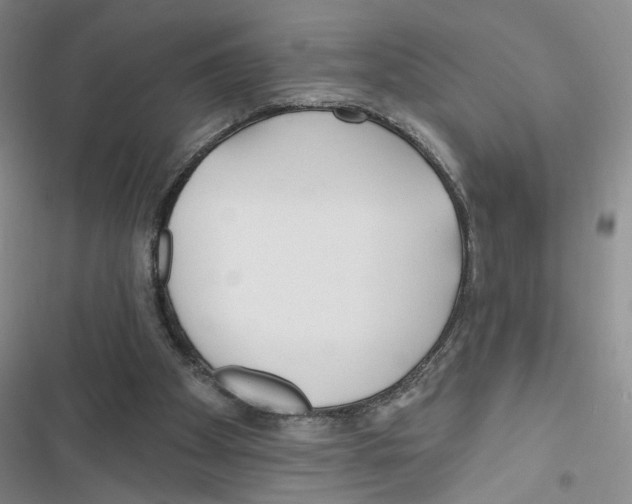 X0000116790105201001151110