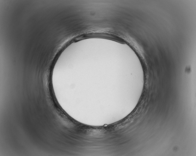 X0000116790107201001151110