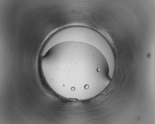 X0000116790108201001151110