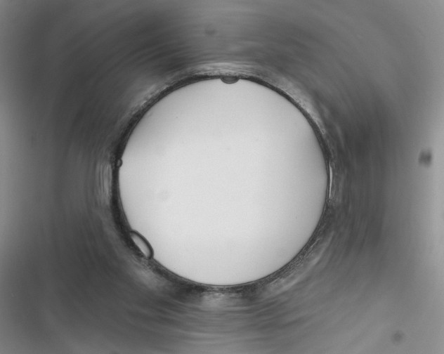 X0000116790109201001151110