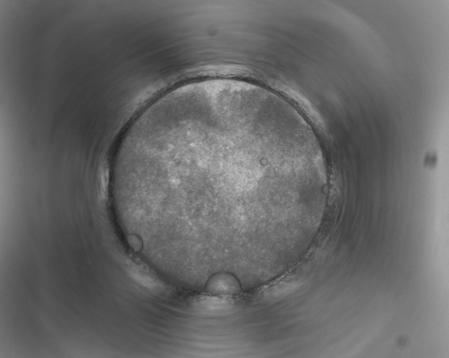 X0000116790110201001151110