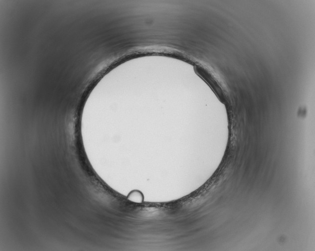X0000116790111201001151110