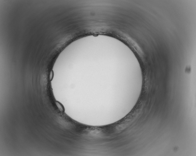 X0000116790113201001151110