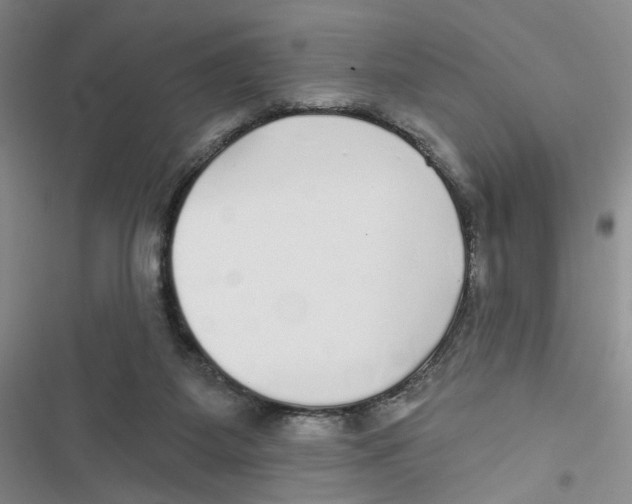 X0000116790115201001151110