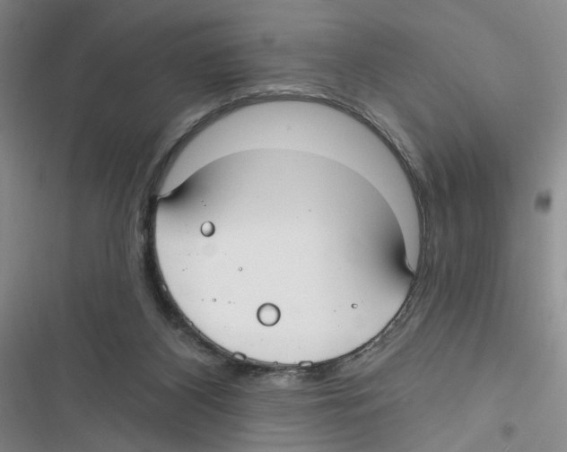 X0000116790116201001151110
