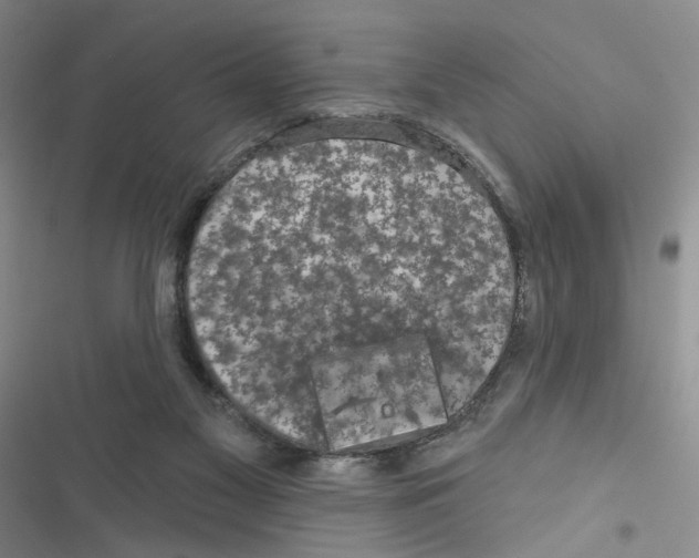 X0000116790117201001151110