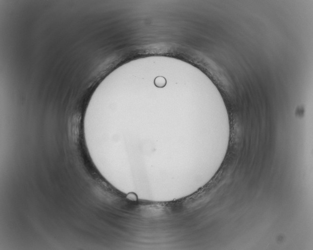 X0000116790118201001151110