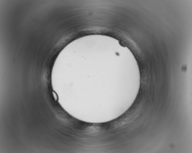 X0000116790119201001151110