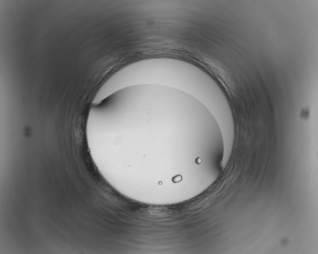 X0000116790121201001151110