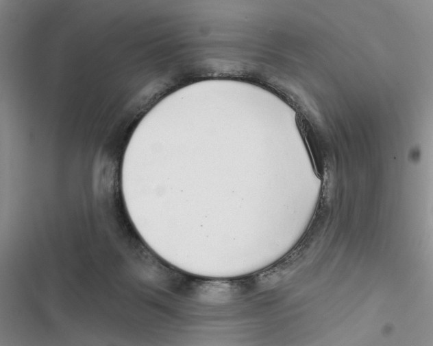 X0000116790123201001151109