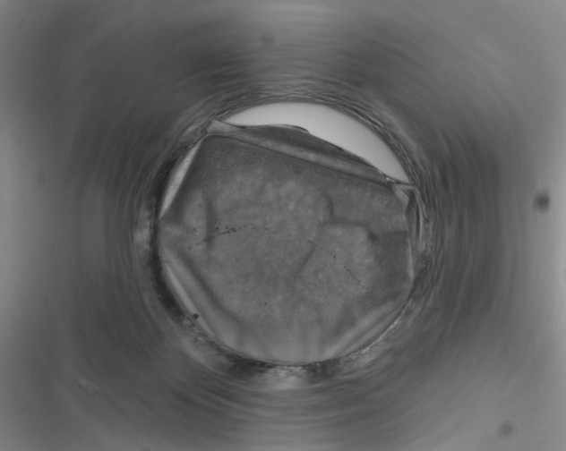 X0000116790124201001151109
