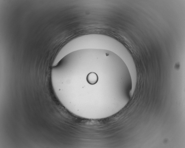 X0000116790125201001151109