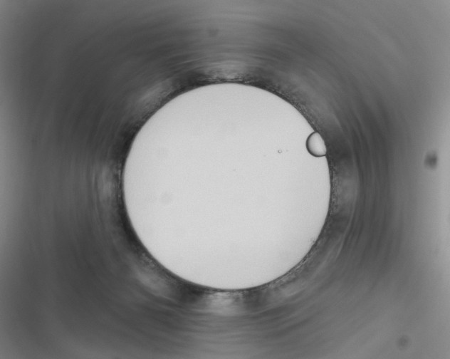 X0000116790126201001151109