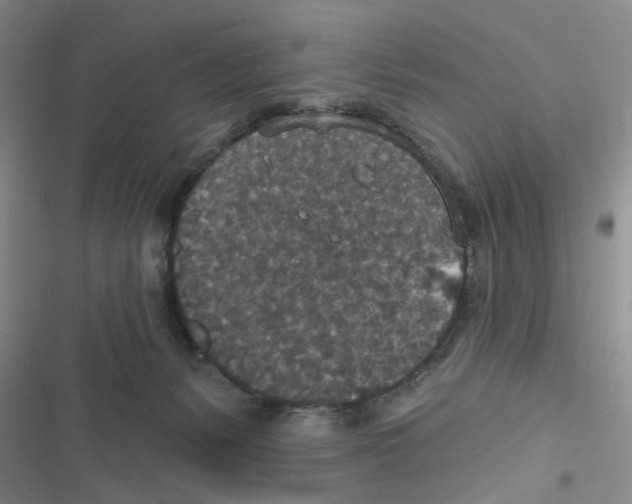 X0000116790127201001151109