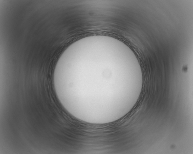 X0000116790129201001151109