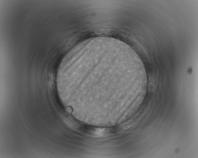X0000116790130201001151109