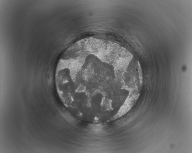 X0000116790131201001151109