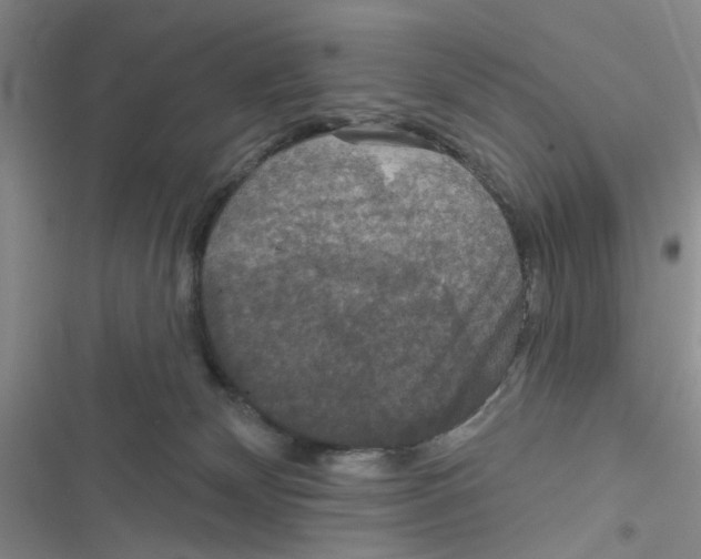 X0000116790132201001151109