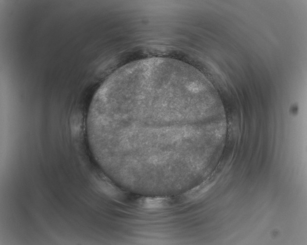 X0000116790134201001151109