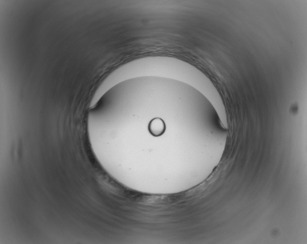 X0000116790136201001151109