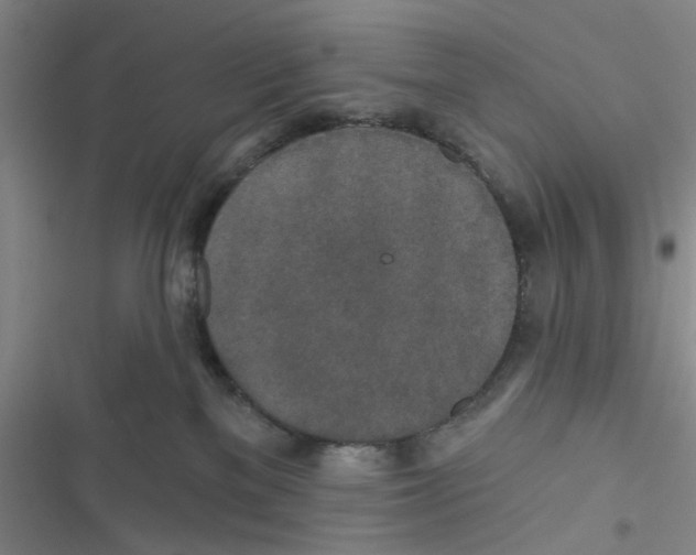 X0000116790137201001151109