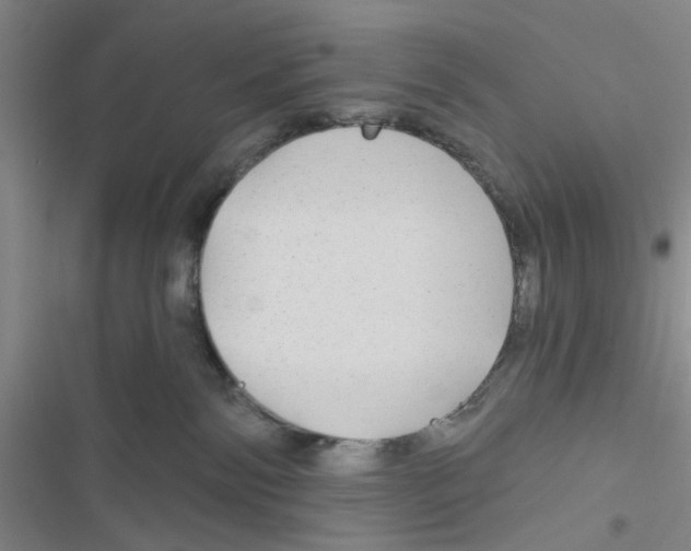 X0000116790138201001151109