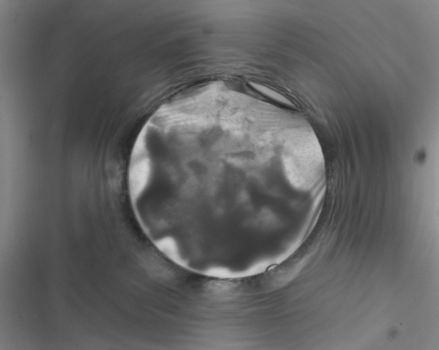 X0000116790139201001151109