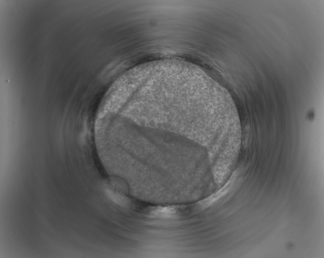 X0000116790140201001151109