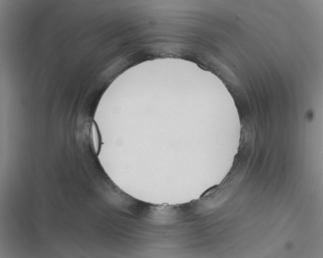 X0000116790141201001151109