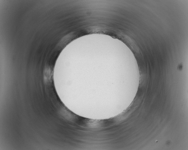 X0000116790142201001151109