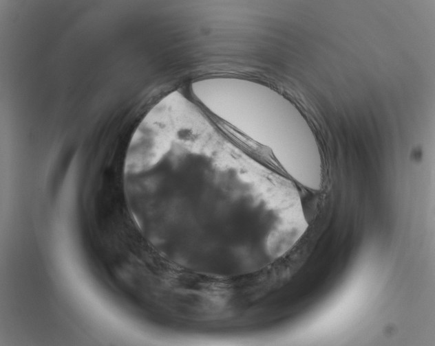 X0000116790143201001151109