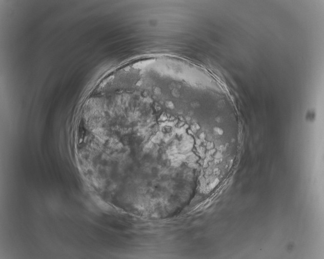 X0000116790145201001151109