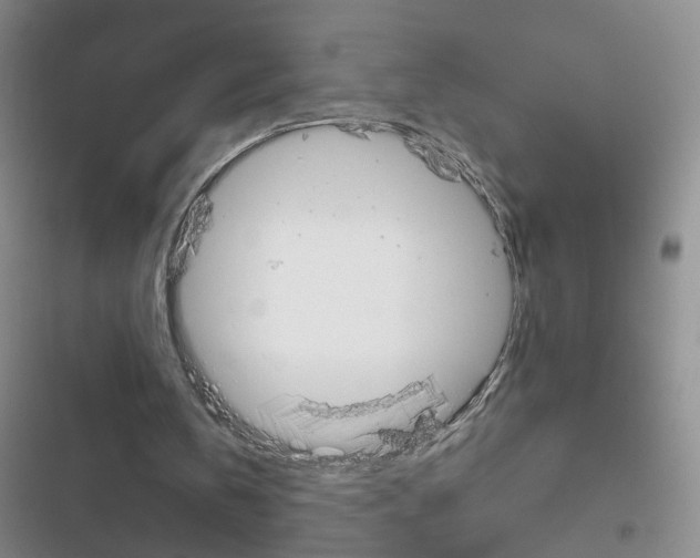 X0000116790146201001151109