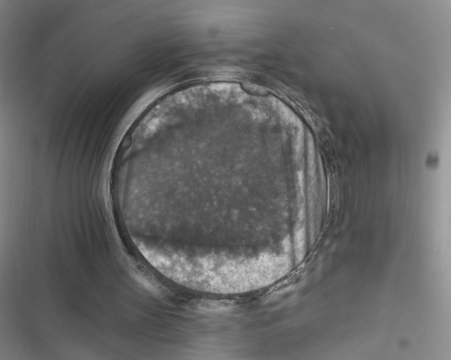 X0000116790147201001151109