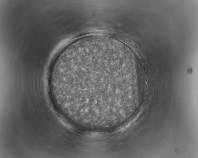 X0000116790149201001151109