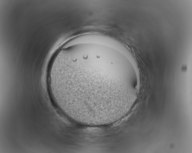 X0000116790150201001151109
