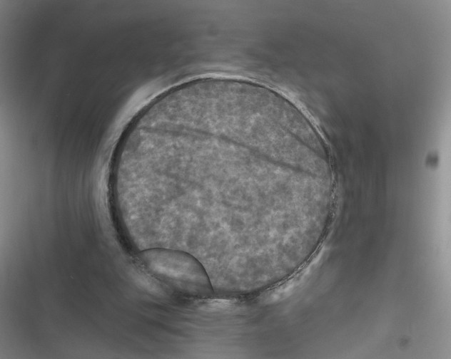 X0000116790151201001151109