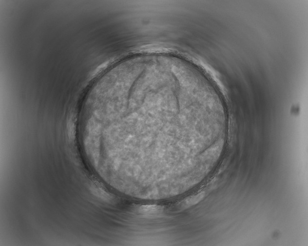 X0000116790153201001151109