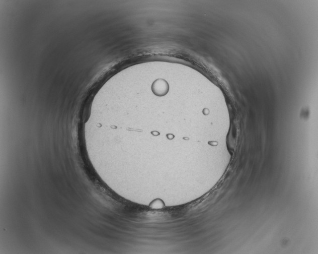 X0000116790154201001151109