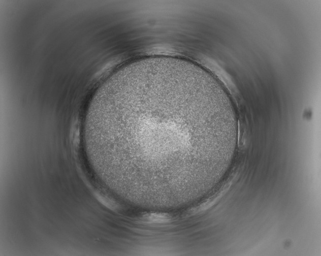 X0000116790157201001151109