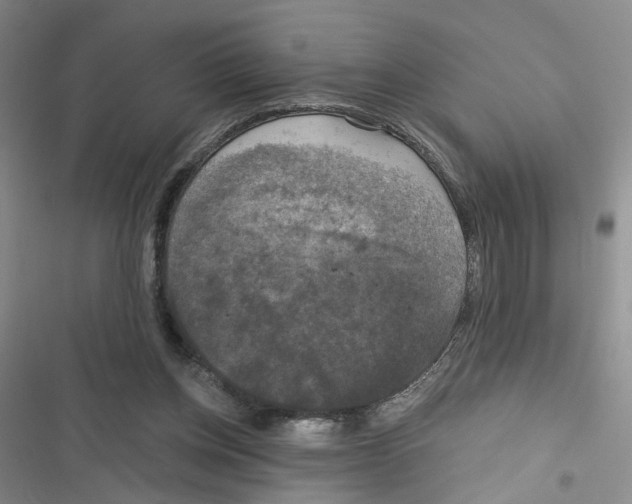 X0000116790158201001151109