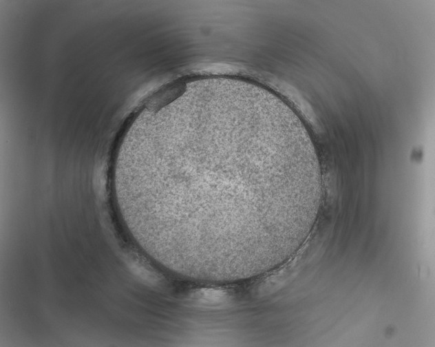 X0000116790159201001151109