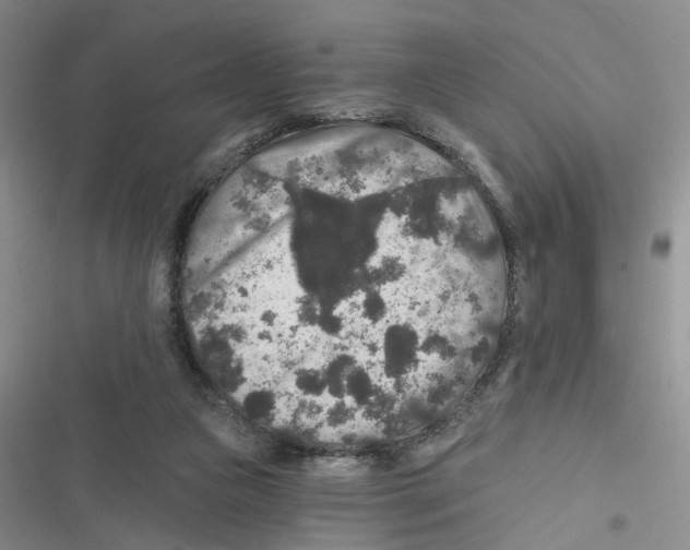 X0000116790161201001151109