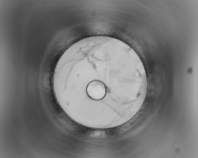 X0000116790162201001151109