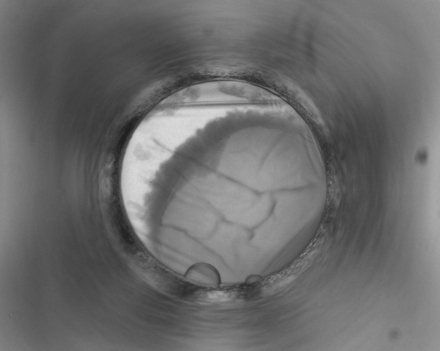 X0000116790163201001151109